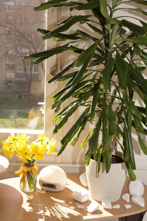 Apartment Spacious Liman Novi Sad Exterior foto